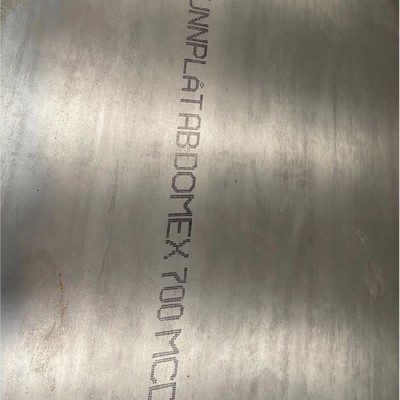 瑞典进口DOMEX 700